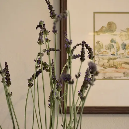 Casa Malu Boutique - No 2 *