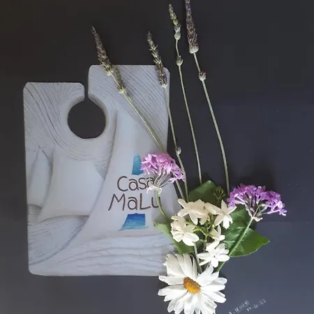 Casa Malu Boutique - No 2 古维亚