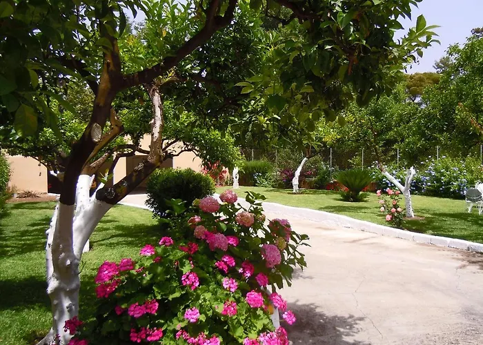 Casa Malu Boutique - No 2