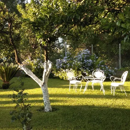 Casa Malu Boutique - No 2